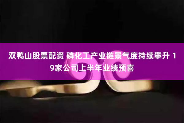 双鸭山股票配资 磷化工产业链景气度持续攀升 19家公司上半年业绩预喜