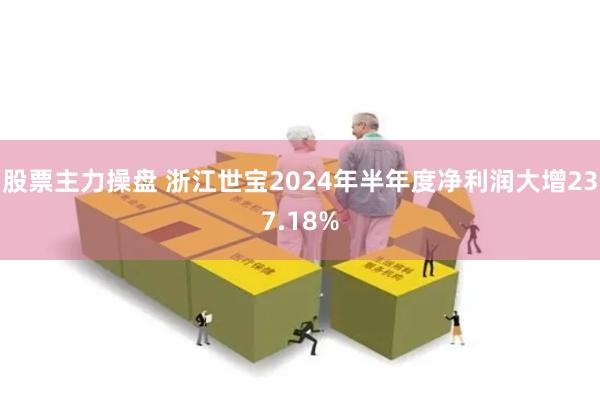 股票主力操盘 浙江世宝2024年半年度净利润大增237.18%